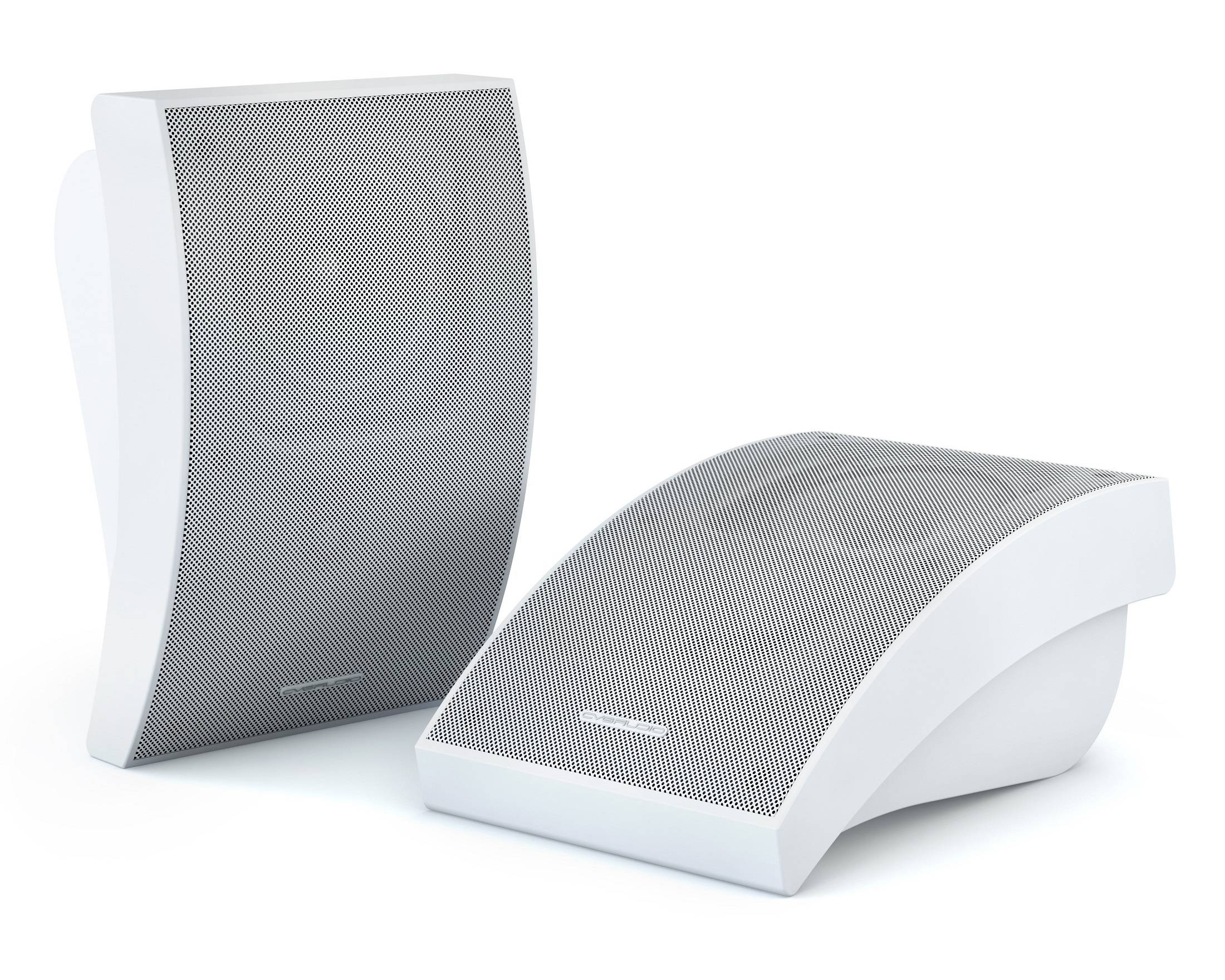 Настенный громкоговоритель CVGaudio WPA10TW